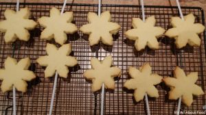 Frozen Cookies7